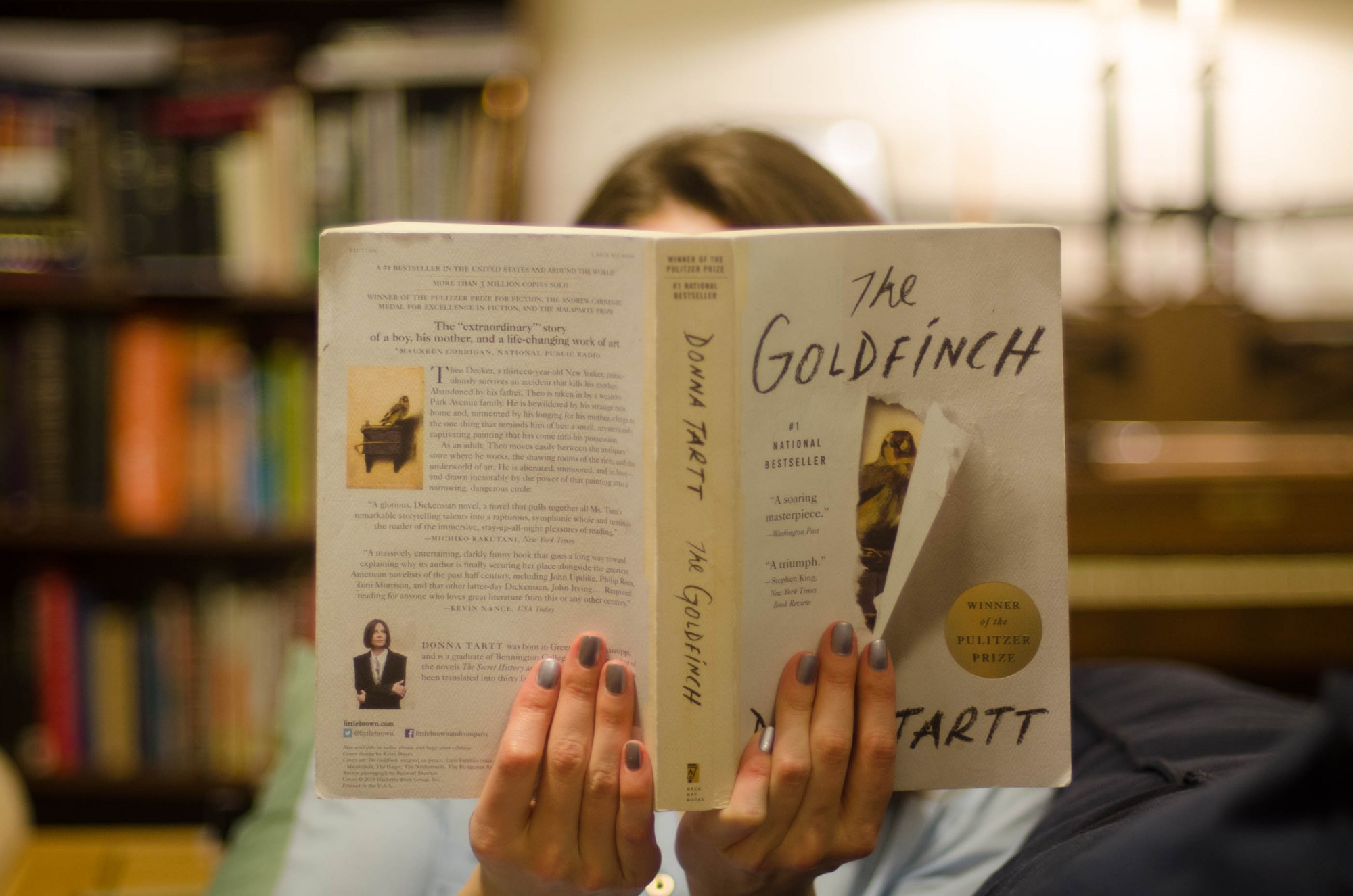 the goldfinch book genre