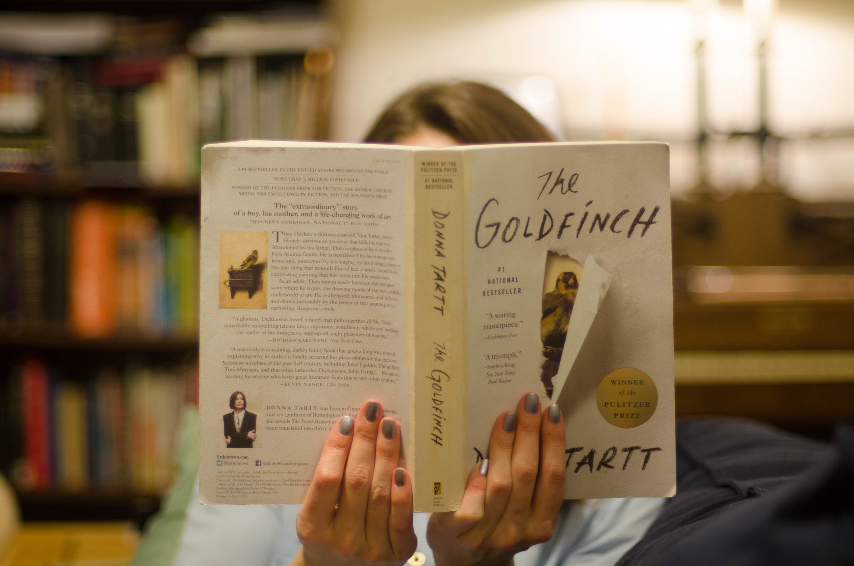 The Goldfinch Book Review