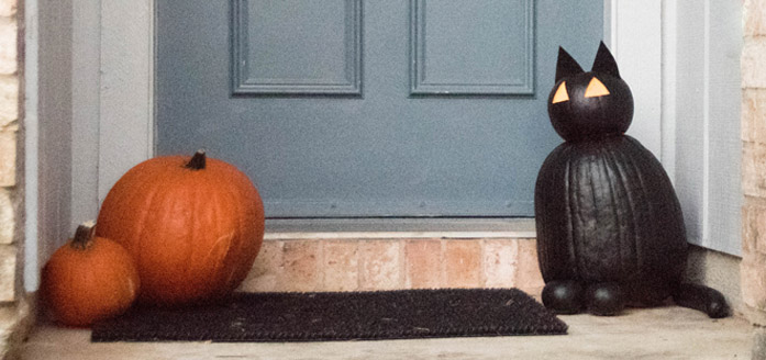 cat pumpkin halloween